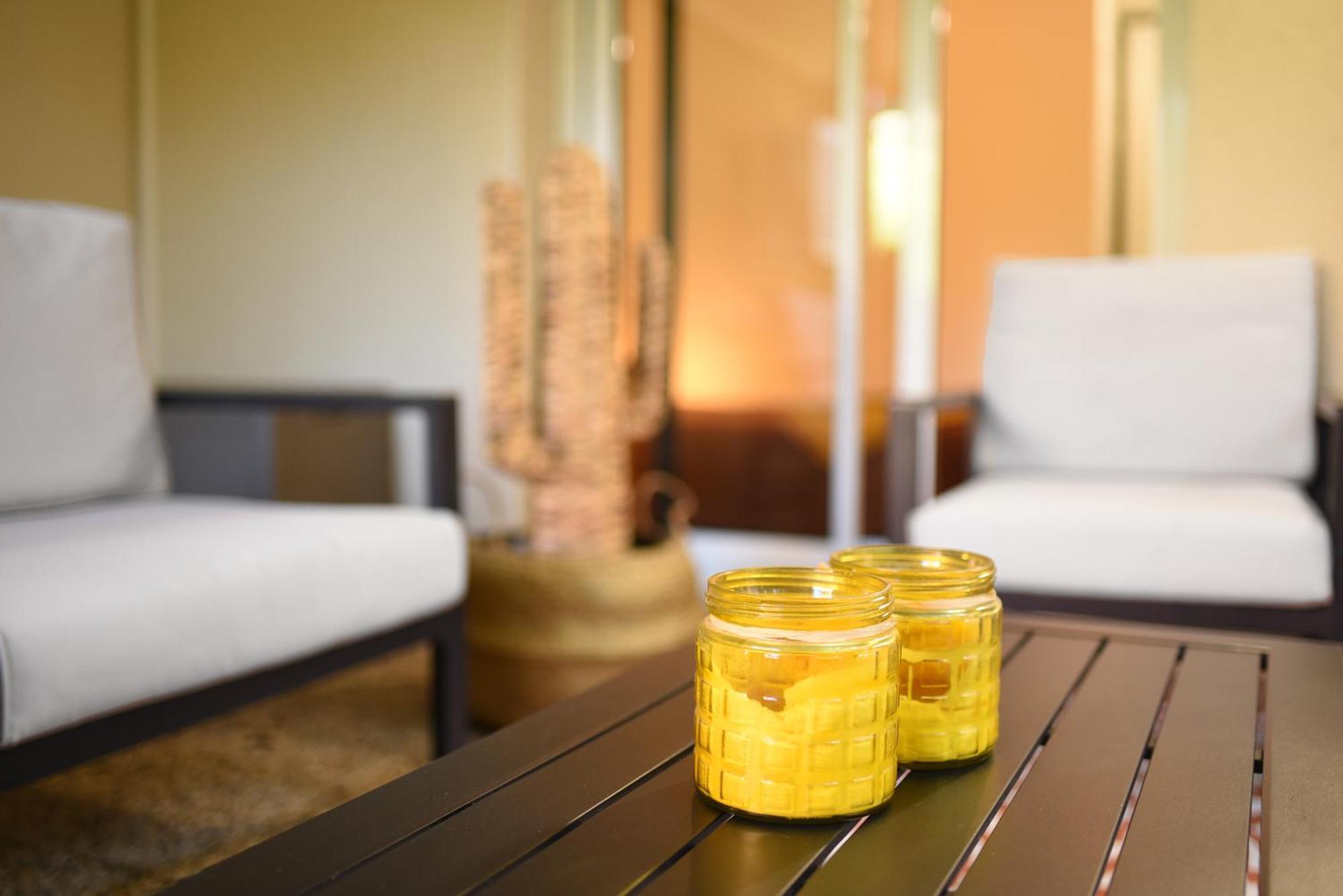 T2 Calme Absolu - Coeur - Saint Cyprien - Climatisation - Terrasse Arboree Apartment Toulouse