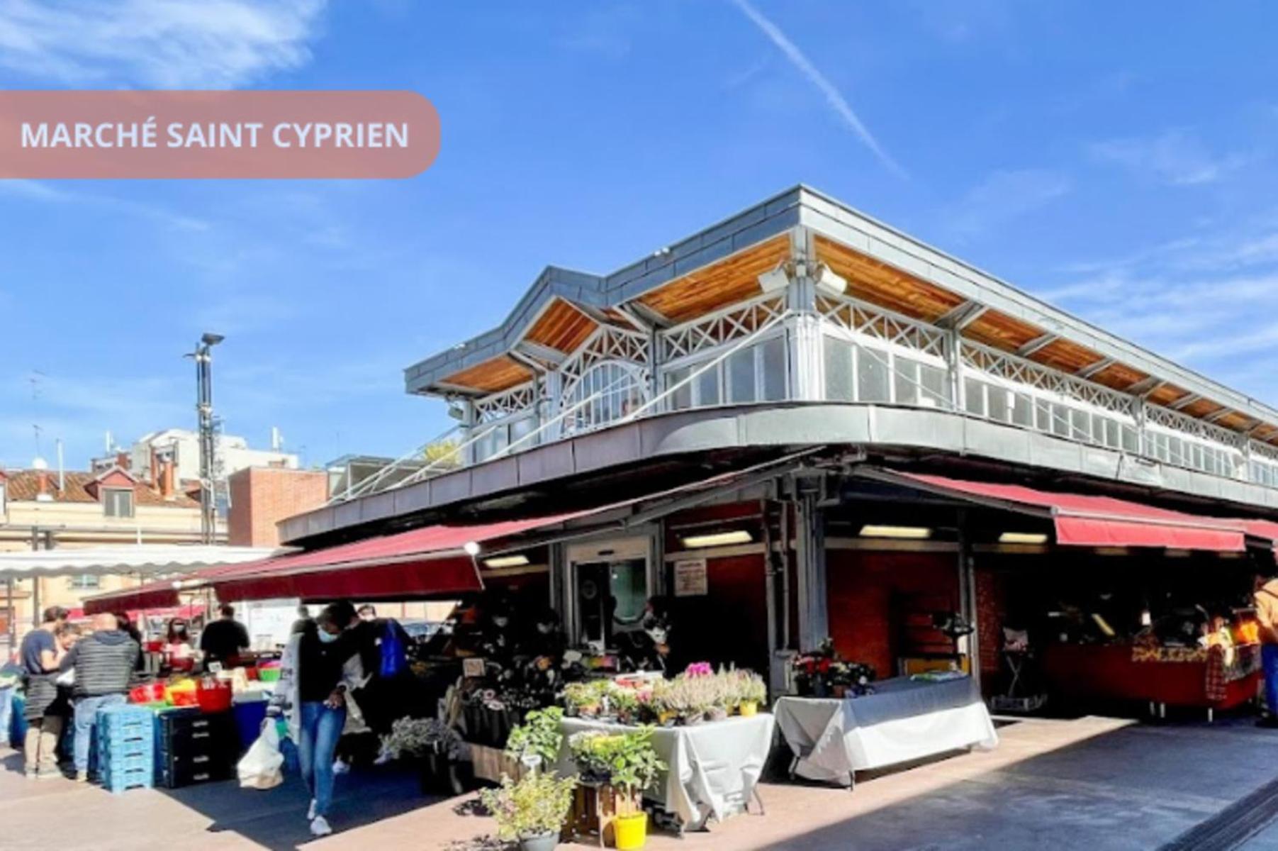 T2 Calme Absolu - Coeur - Saint Cyprien - Climatisation - Terrasse Arboree