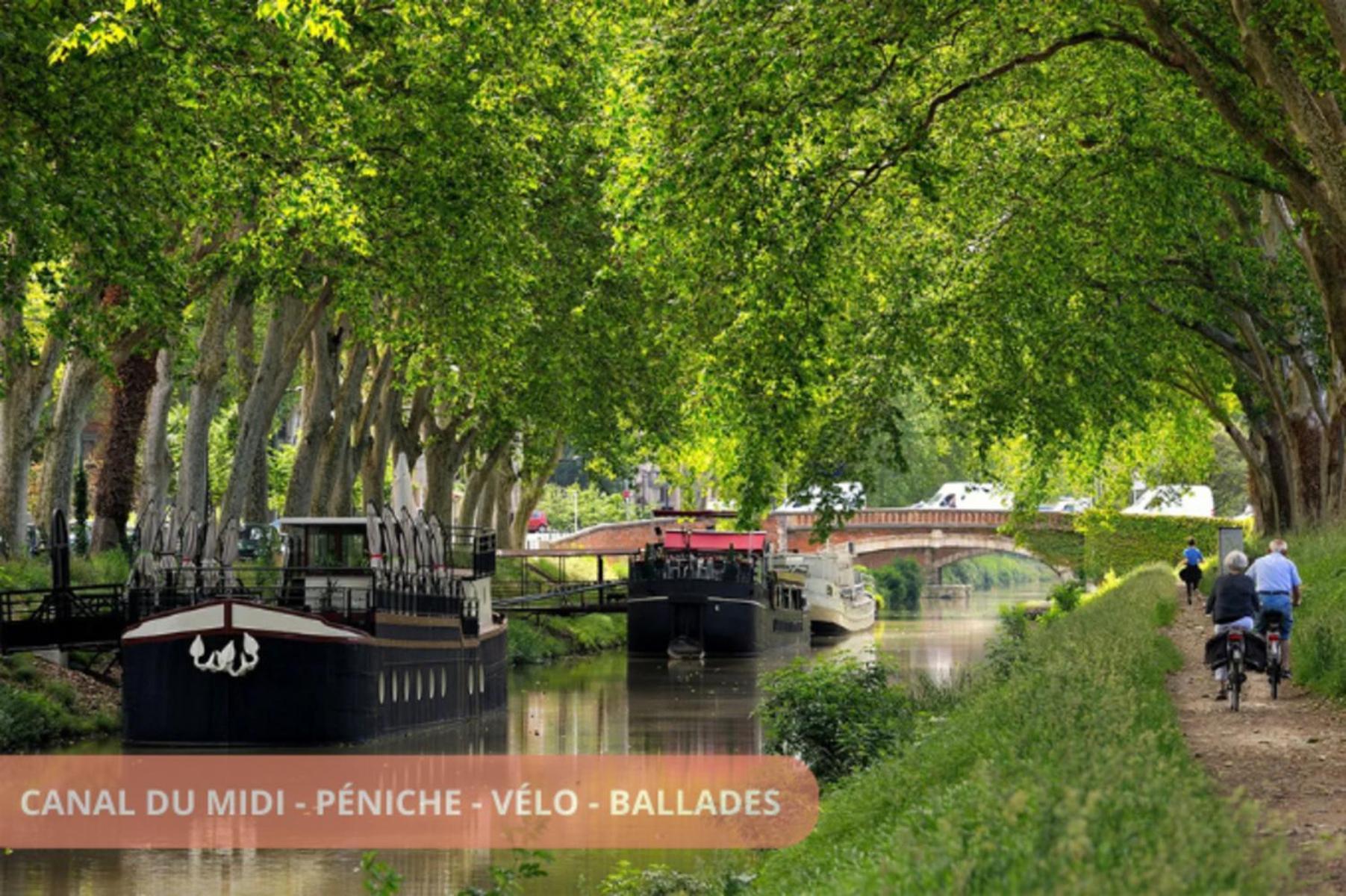 T2 Calme Absolu - Coeur - Saint Cyprien - Climatisation - Terrasse Arboree Apartamento Toulouse